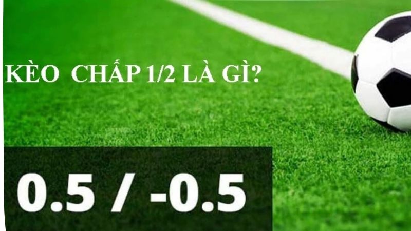 Cá Cược Kèo Chấp 1/2 - Bí Quyết Chinh Phục Tối Ưu Lợi Nhuận 1 keo-chap-1-2-2
