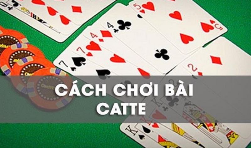 Cách Chơi Bài Catte B52 Club - Bí Quyết Thắng Lớn 3 Thuật ngữ được sử dụng trong bài Catte phổ biến